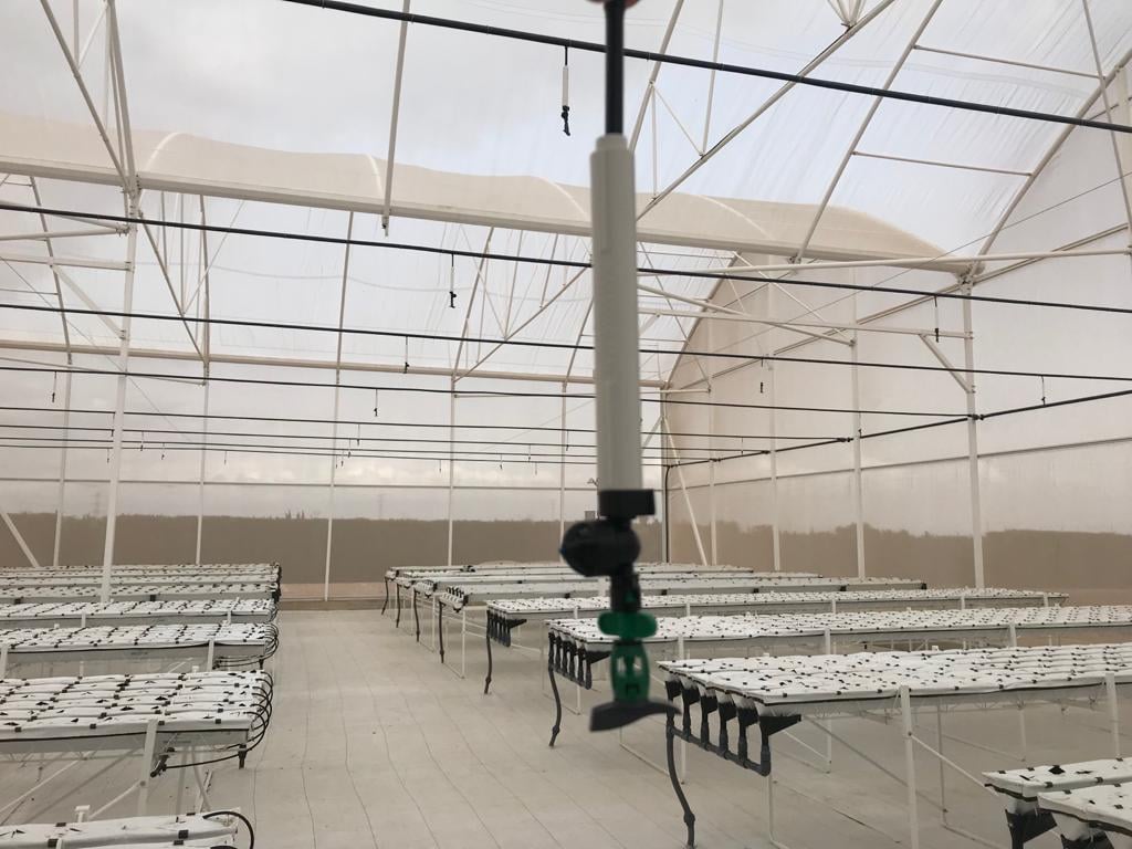 245916297_667457567569070_4365126190578210727_n