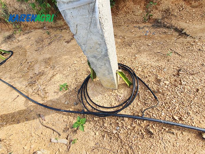 637566917251802311 a