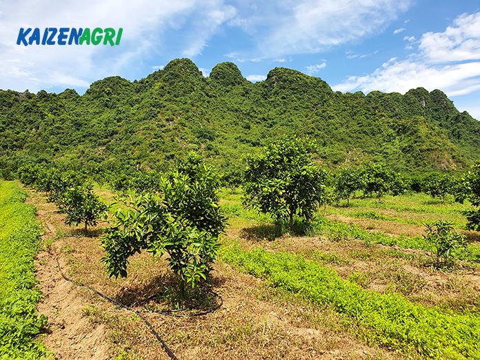 637566917254302323 a