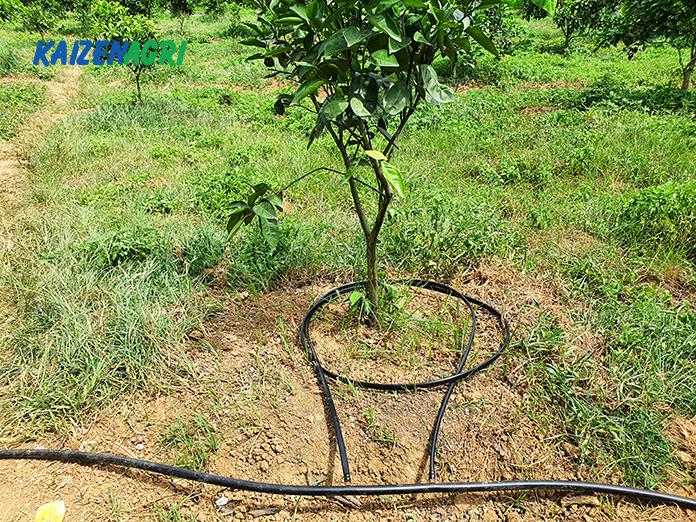 637566917261958600 a