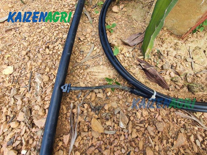 637566918524302361 a