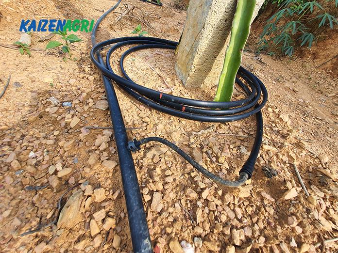 637566918529927400 a