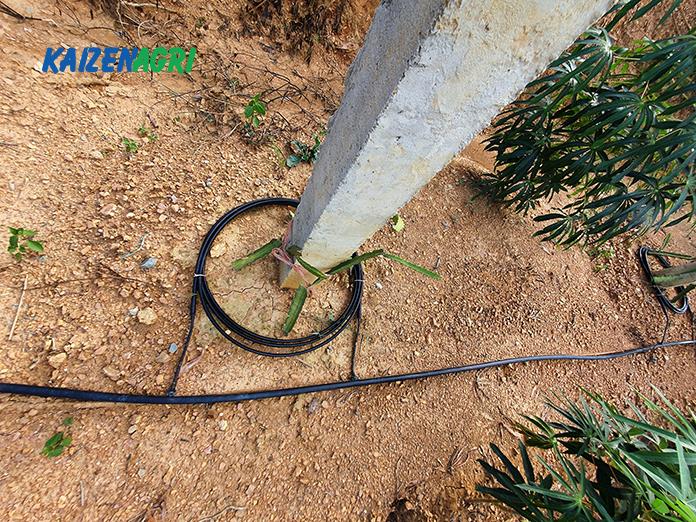 637566918530552314 a