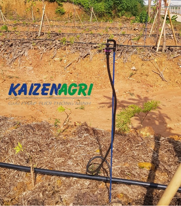 637585261295477497 a