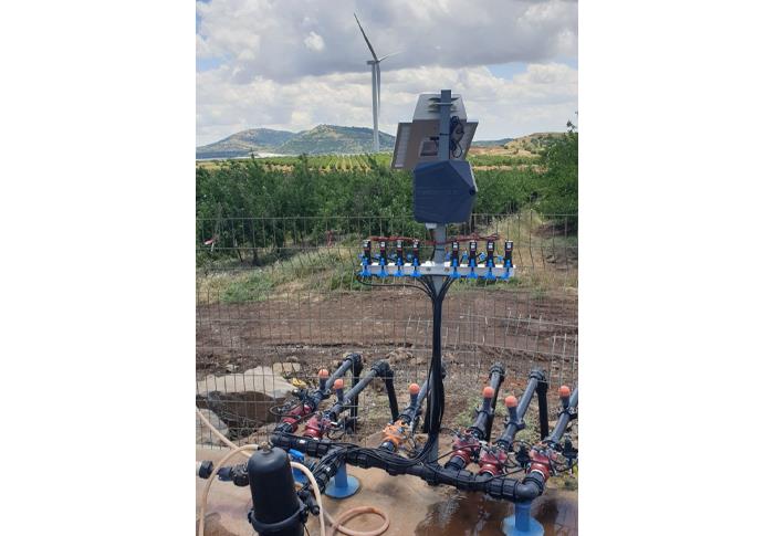 637670443769056910 a