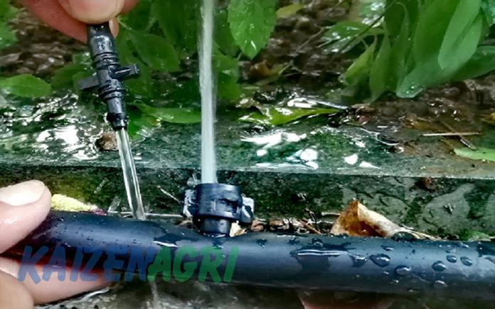 637845075954104801 a