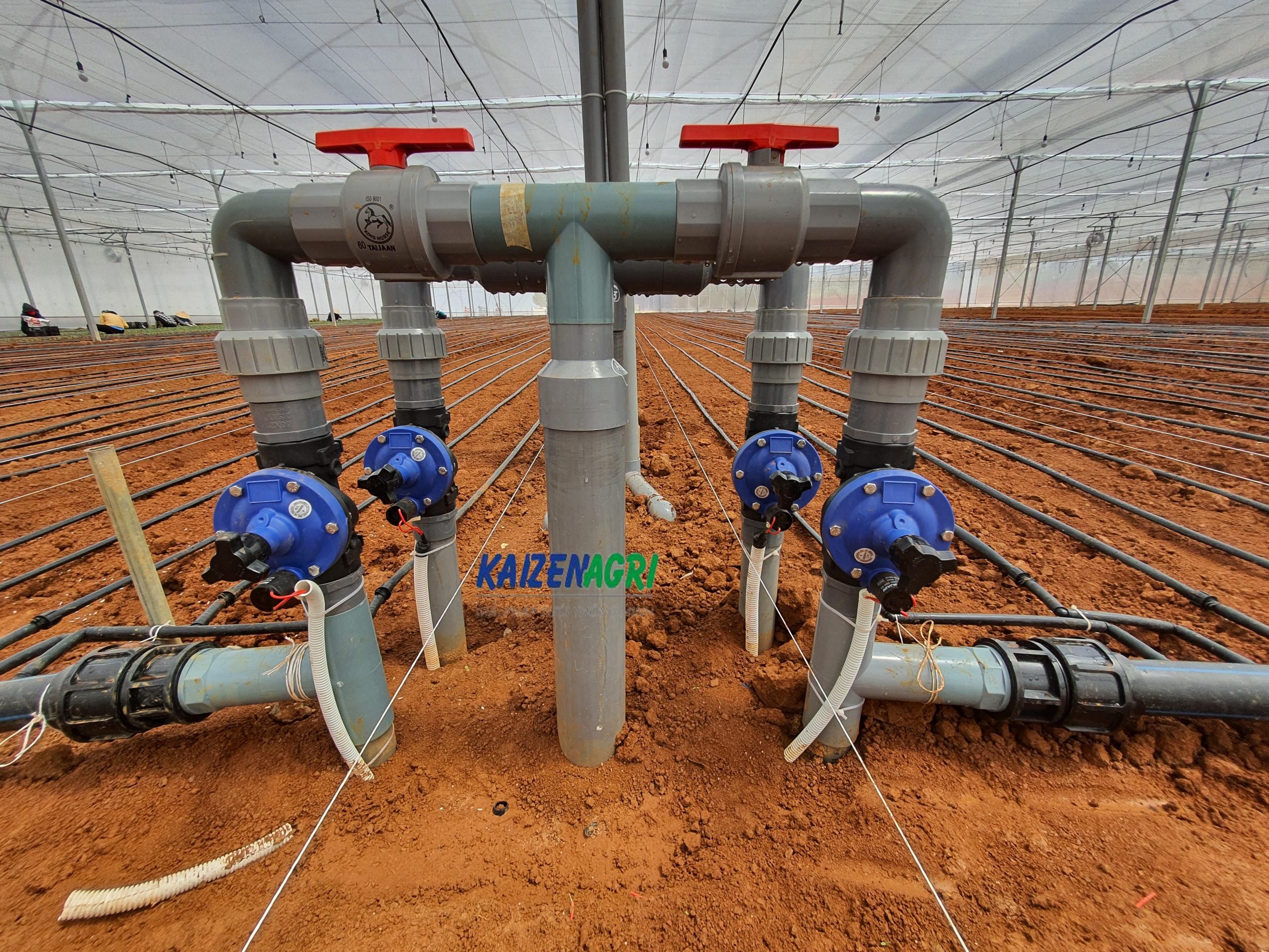 637902798526796251 a