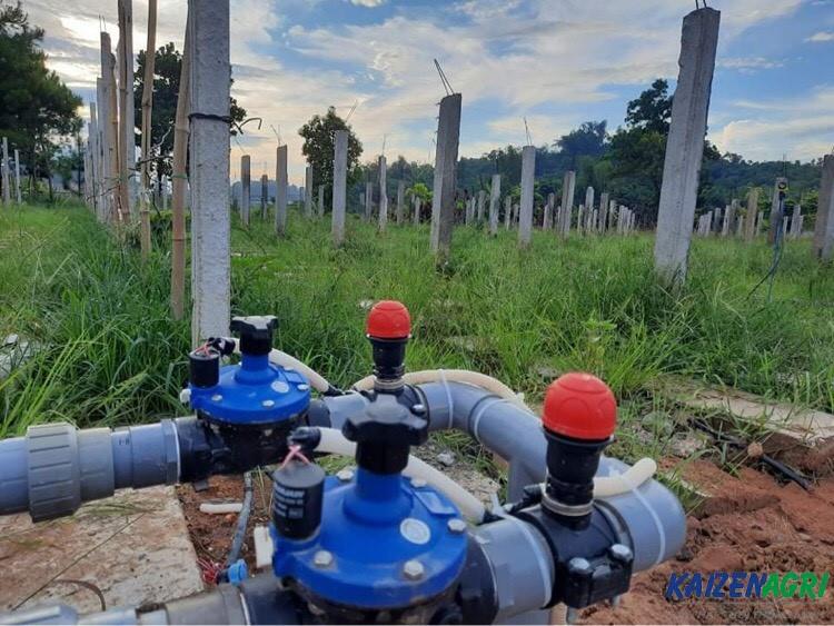 637902799416796501 a