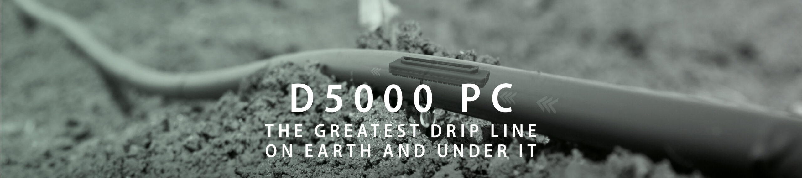 RIV_D5000_PC_1920x727px_Image_Block_English_20210824