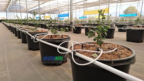 WhatsApp-Image-2024-01-16-at-12.16.22_96359ac1-1-600x338